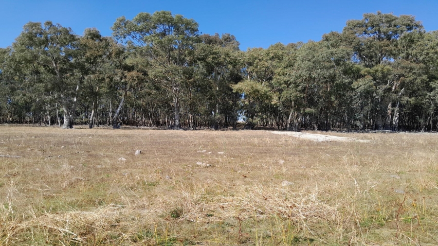 0 Bedroom Property for Sale in Vaaldam SH Free State